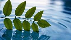  peaceful state of mind