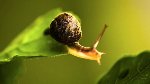 ways-overcome-self-doubt-biuld-profitable-business